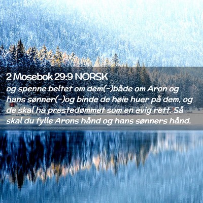 Picture 02 - 2 Mosebok 29:9 NORSK - og spenne beltet om dem(-)både om Aron og hans - Bible Verse Picture