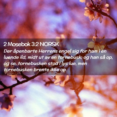Picture 02 - 2 Mosebok 3:2 NORSK - Der åpenbarte Herrens engel sig for ham i en - Bible Verse Picture