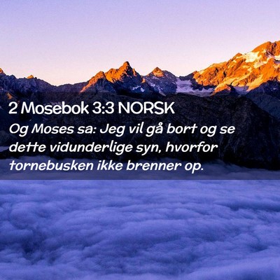Picture 02 - 2 Mosebok 3:3 NORSK - Og Moses sa: Jeg vil gå bort og se dette - Bible Verse Picture
