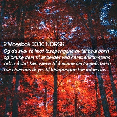 Picture 02 - 2 Mosebok 30:16 NORSK - Og du skal ta imot løsepengene av Israels barn - Bible Verse Picture