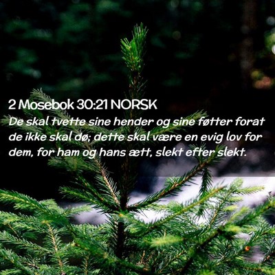 Picture 02 - 2 Mosebok 30:21 NORSK - De skal tvette sine hender og sine føtter forat - Bible Verse Picture