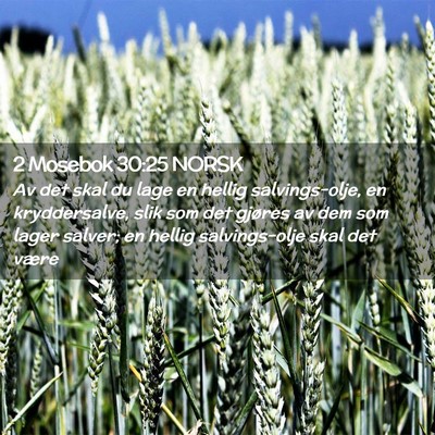 Picture 02 - 2 Mosebok 30:25 NORSK - Av det skal du lage en hellig salvings-olje, en - Bible Verse Picture