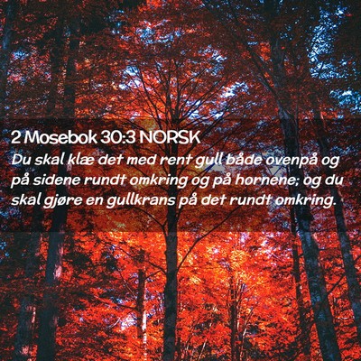 Picture 02 - 2 Mosebok 30:3 NORSK - Du skal klæ det med rent gull både ovenpå og - Bible Verse Picture