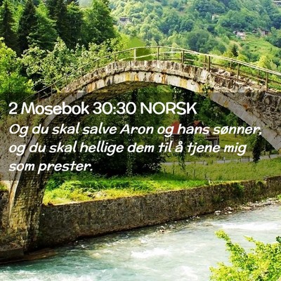 Picture 02 - 2 Mosebok 30:30 NORSK - Og du skal salve Aron og hans sønner, og du skal - Bible Verse Picture