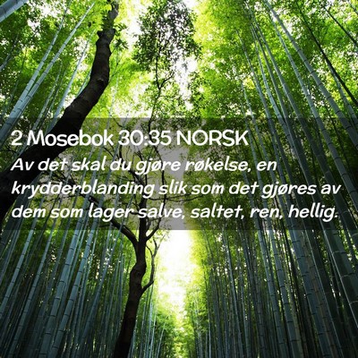 Picture 02 - 2 Mosebok 30:35 NORSK - Av det skal du gjøre røkelse, en - Bible Verse Picture