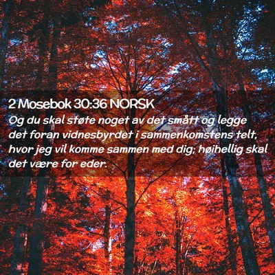 Picture 02 - 2 Mosebok 30:36 NORSK - Og du skal støte noget av det smått og legge - Bible Verse Picture
