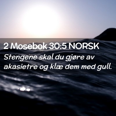 Picture 02 - 2 Mosebok 30:5 NORSK - Stengene skal du gjøre av akasietre og klæ dem - Bible Verse Picture