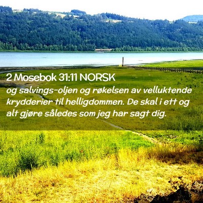 Picture 02 - 2 Mosebok 31:11 NORSK - og salvings-oljen og røkelsen av velluktende - Bible Verse Picture