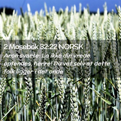 Picture 02 - 2 Mosebok 32:22 NORSK - Aron svarte: La ikke din vrede optendes, herre! - Bible Verse Picture