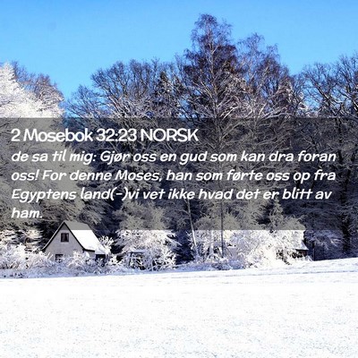 Picture 02 - 2 Mosebok 32:23 NORSK - de sa til mig: Gjør oss en gud som kan dra foran - Bible Verse Picture