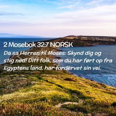 Picture 02 - 2 Mosebok 32:7 NORSK - Da sa Herren til Moses: Skynd dig og stig ned! - Bible Verse Picture