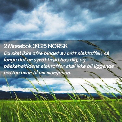 Picture 02 - 2 Mosebok 34:25 NORSK - Du skal ikke ofre blodet av mitt slaktoffer, så - Bible Verse Picture