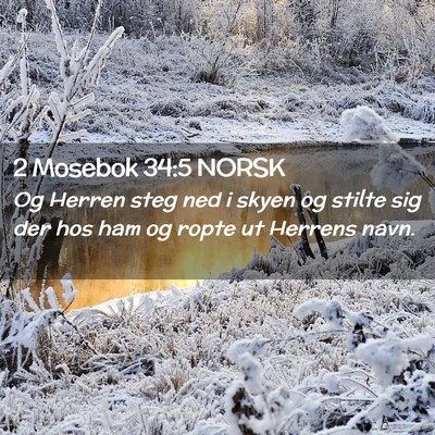 Picture 02 - 2 Mosebok 34:5 NORSK - Og Herren steg ned i skyen og stilte sig der hos - Bible Verse Picture