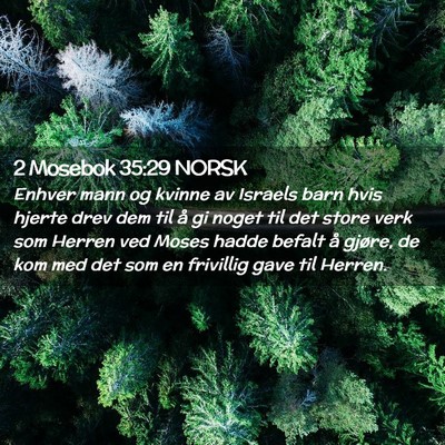 Picture 02 - 2 Mosebok 35:29 NORSK - Enhver mann og kvinne av Israels barn hvis hjerte - Bible Verse Picture