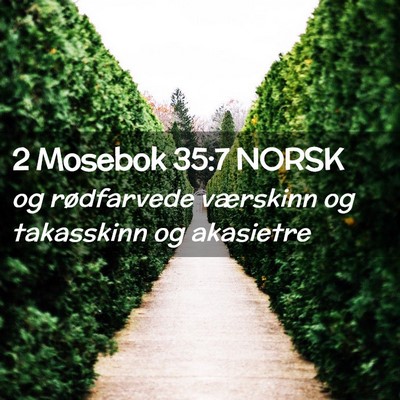 Picture 02 - 2 Mosebok 35:7 NORSK - og rødfarvede værskinn og takasskinn og - Bible Verse Picture