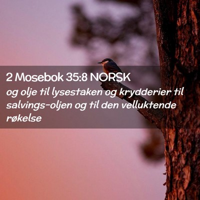 Picture 02 - 2 Mosebok 35:8 NORSK - og olje til lysestaken og krydderier til - Bible Verse Picture