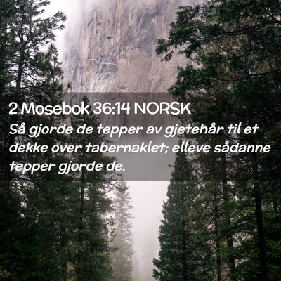 Picture 02 - 2 Mosebok 36:14 NORSK - Så gjorde de tepper av gjetehår til et dekke - Bible Verse Picture