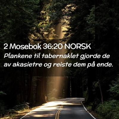 Picture 02 - 2 Mosebok 36:20 NORSK - Plankene til tabernaklet gjorde de av akasietre - Bible Verse Picture