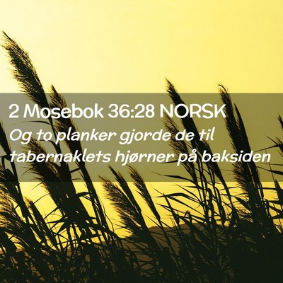 Picture 02 - 2 Mosebok 36:28 NORSK - Og to planker gjorde de til tabernaklets hjørner - Bible Verse Picture
