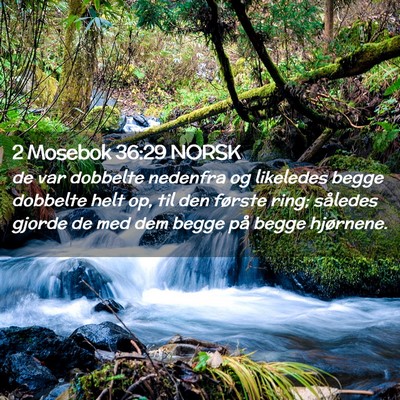 Picture 02 - 2 Mosebok 36:29 NORSK - de var dobbelte nedenfra og likeledes begge - Bible Verse Picture