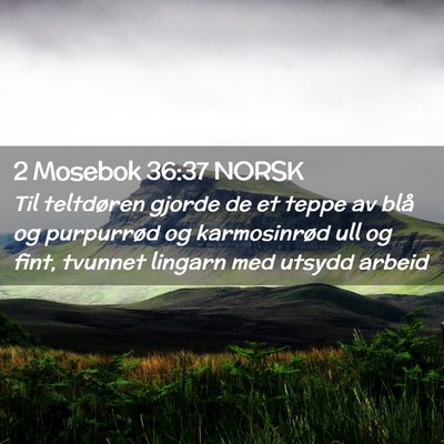Picture 02 - 2 Mosebok 36:37 NORSK - Til teltdøren gjorde de et teppe av blå og - Bible Verse Picture
