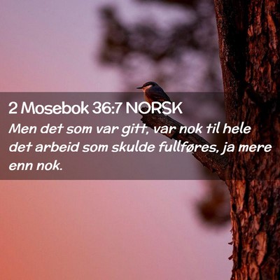 Picture 02 - 2 Mosebok 36:7 NORSK - Men det som var gitt, var nok til hele det arbeid - Bible Verse Picture