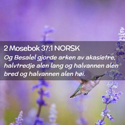 Picture 02 - 2 Mosebok 37:1 NORSK - Og Besalel gjorde arken av akasietre, halvtredje - Bible Verse Picture