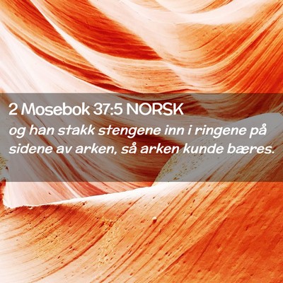 Picture 02 - 2 Mosebok 37:5 NORSK - og han stakk stengene inn i ringene på sidene av - Bible Verse Picture
