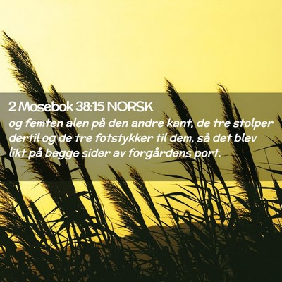Picture 02 - 2 Mosebok 38:15 NORSK - og femten alen på den andre kant, de tre stolper - Bible Verse Picture