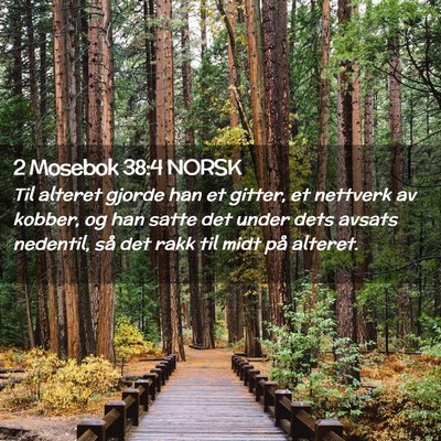 Picture 02 - 2 Mosebok 38:4 NORSK - Til alteret gjorde han et gitter, et nettverk av - Bible Verse Picture
