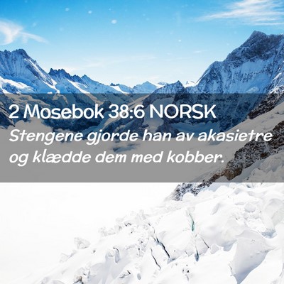 Picture 02 - 2 Mosebok 38:6 NORSK - Stengene gjorde han av akasietre og klædde dem - Bible Verse Picture