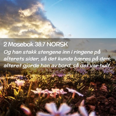 Picture 02 - 2 Mosebok 38:7 NORSK - Og han stakk stengene inn i ringene på alterets - Bible Verse Picture