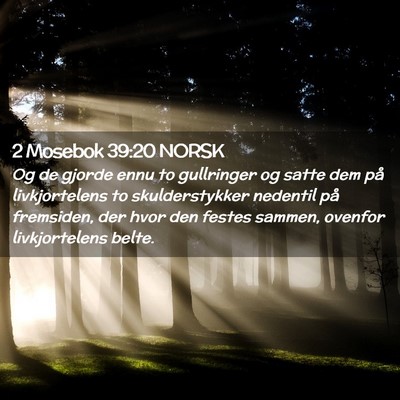 Picture 02 - 2 Mosebok 39:20 NORSK - Og de gjorde ennu to gullringer og satte dem på - Bible Verse Picture