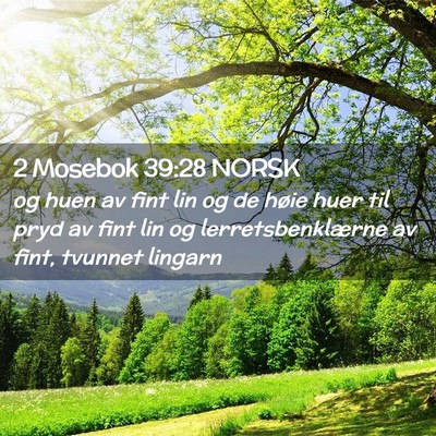 Picture 02 - 2 Mosebok 39:28 NORSK - og huen av fint lin og de høie huer til pryd av - Bible Verse Picture