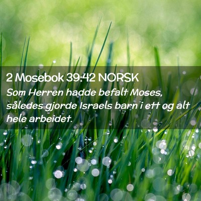Picture 02 - 2 Mosebok 39:42 NORSK - Som Herren hadde befalt Moses, således gjorde - Bible Verse Picture