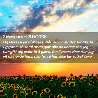 Picture 02 - 2 Mosebok 4:21 NORSK - Og Herren sa til Moses: Når du nu vender tilbake - Bible Verse Picture