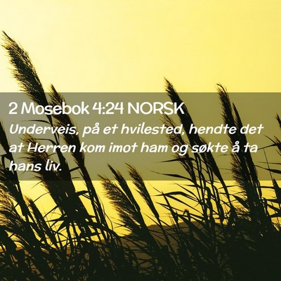 Picture 02 - 2 Mosebok 4:24 NORSK - Underveis, på et hvilested, hendte det at Herren - Bible Verse Picture