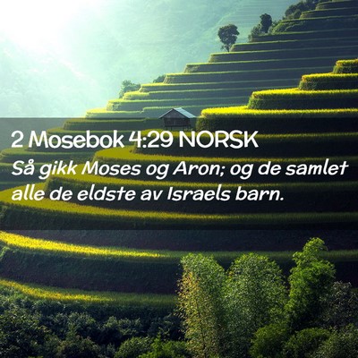 Picture 02 - 2 Mosebok 4:29 NORSK - Så gikk Moses og Aron; og de samlet alle de - Bible Verse Picture