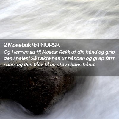 Picture 02 - 2 Mosebok 4:4 NORSK - Og Herren sa til Moses: Rekk ut din hånd og grip - Bible Verse Picture
