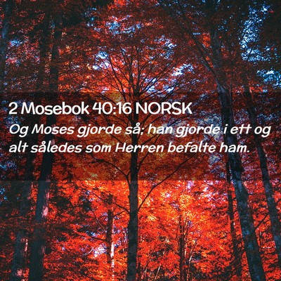 Picture 02 - 2 Mosebok 40:16 NORSK - Og Moses gjorde så; han gjorde i ett og alt - Bible Verse Picture