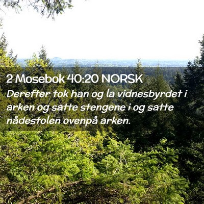 Picture 02 - 2 Mosebok 40:20 NORSK - Derefter tok han og la vidnesbyrdet i arken og - Bible Verse Picture