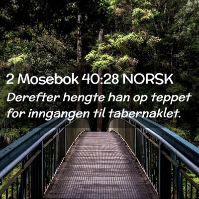 Picture 02 - 2 Mosebok 40:28 NORSK - Derefter hengte han op teppet for inngangen til - Bible Verse Picture