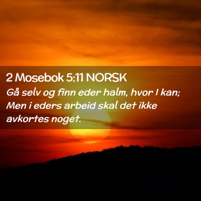 Picture 02 - 2 Mosebok 5:11 NORSK - Gå selv og finn eder halm, hvor I kan; Men i - Bible Verse Picture