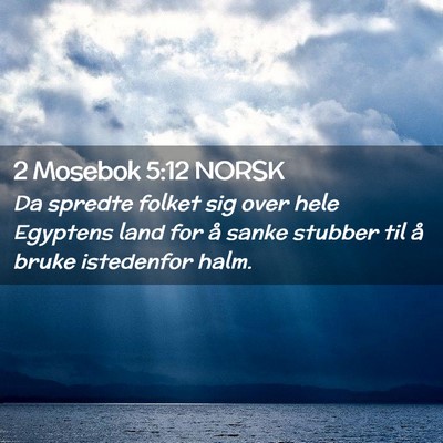 Picture 02 - 2 Mosebok 5:12 NORSK - Da spredte folket sig over hele Egyptens land for - Bible Verse Picture