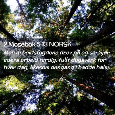 Picture 02 - 2 Mosebok 5:13 NORSK - Men arbeidsfogdene drev på og sa: Gjør eders - Bible Verse Picture