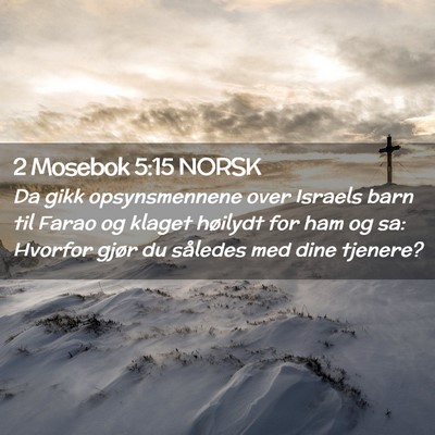 Picture 02 - 2 Mosebok 5:15 NORSK - Da gikk opsynsmennene over Israels barn til Farao - Bible Verse Picture