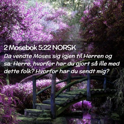 Picture 02 - 2 Mosebok 5:22 NORSK - Da vendte Moses sig igjen til Herren og sa: - Bible Verse Picture