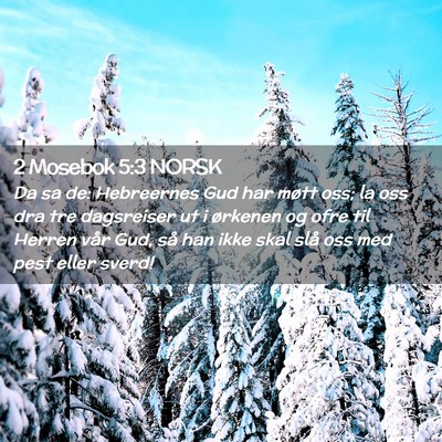 Picture 02 - 2 Mosebok 5:3 NORSK - Da sa de: Hebreernes Gud har møtt oss; la oss - Bible Verse Picture