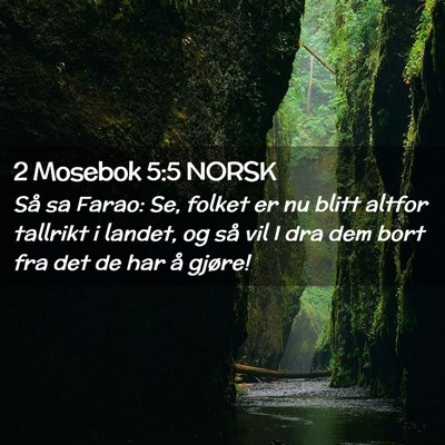 Picture 02 - 2 Mosebok 5:5 NORSK - Så sa Farao: Se, folket er nu blitt altfor - Bible Verse Picture