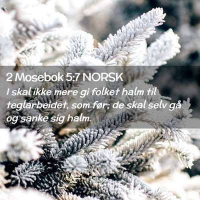 Picture 02 - 2 Mosebok 5:7 NORSK - I skal ikke mere gi folket halm til teglarbeidet, - Bible Verse Picture